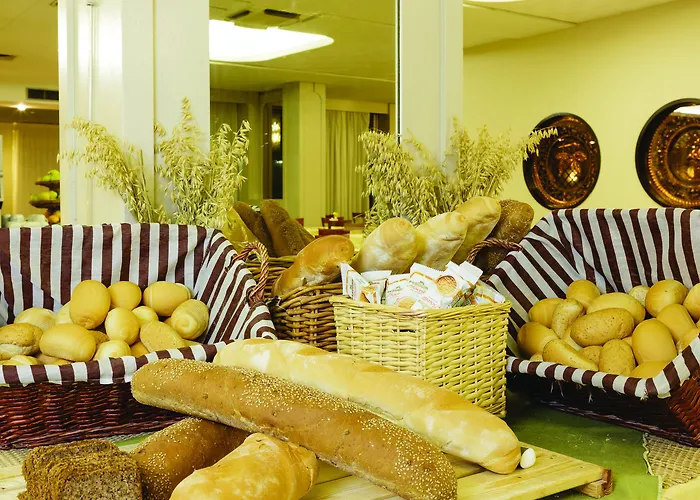 Leonardo Da Vinci Hotel Limone sul Garda